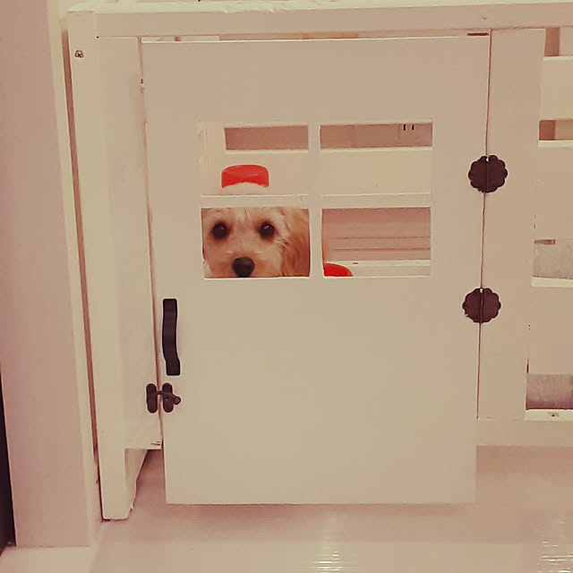 mimiさんの実例写真