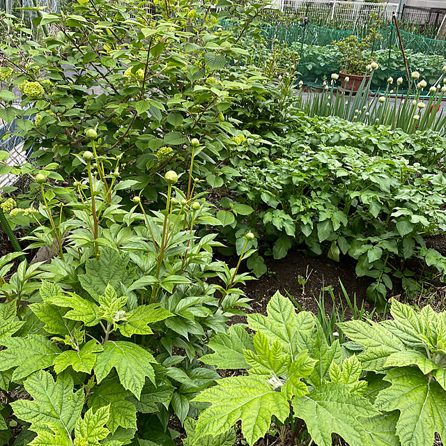 natsumiさんの部屋