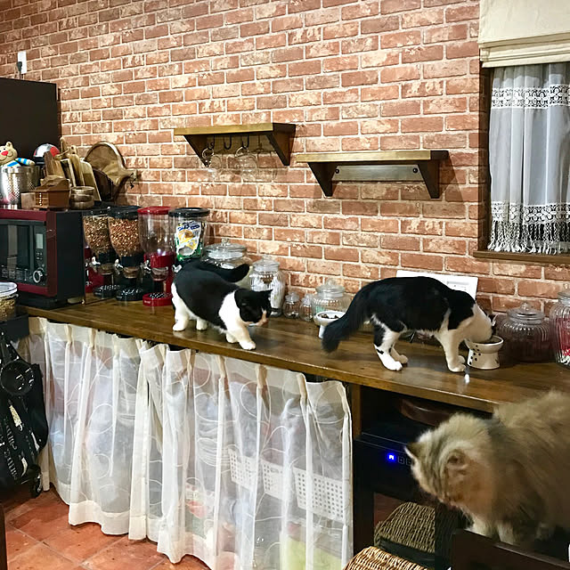 butachanさんの実例写真