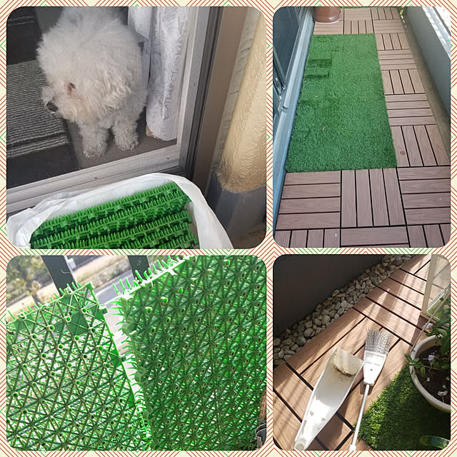 takoさんの実例写真