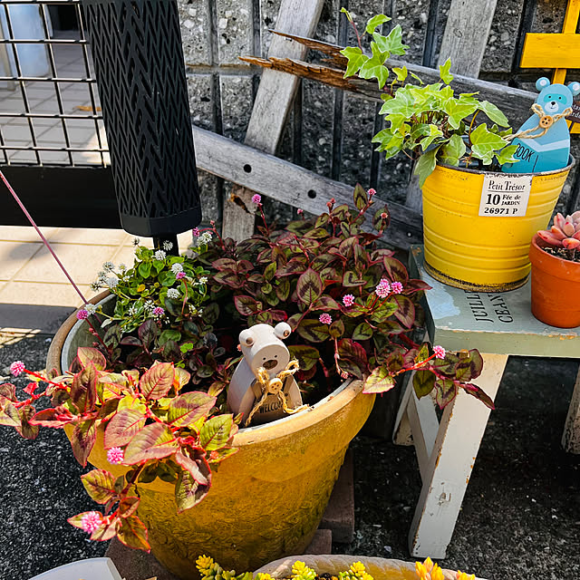 jijiさんの部屋