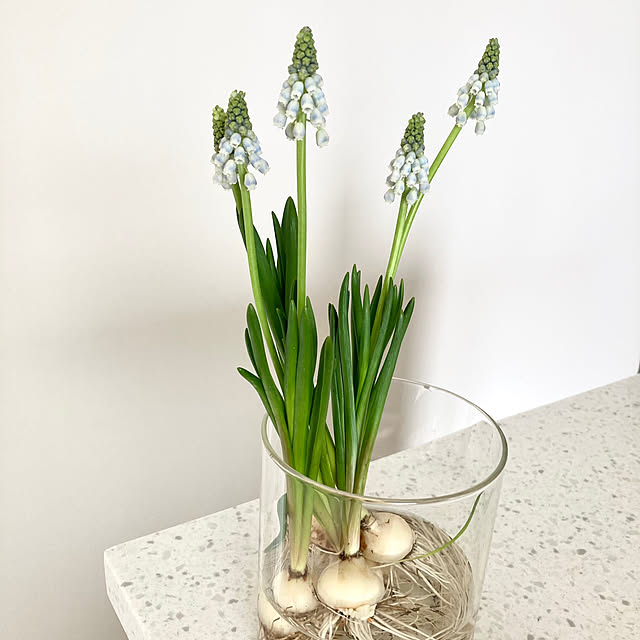 maki_papercraftさんの実例写真