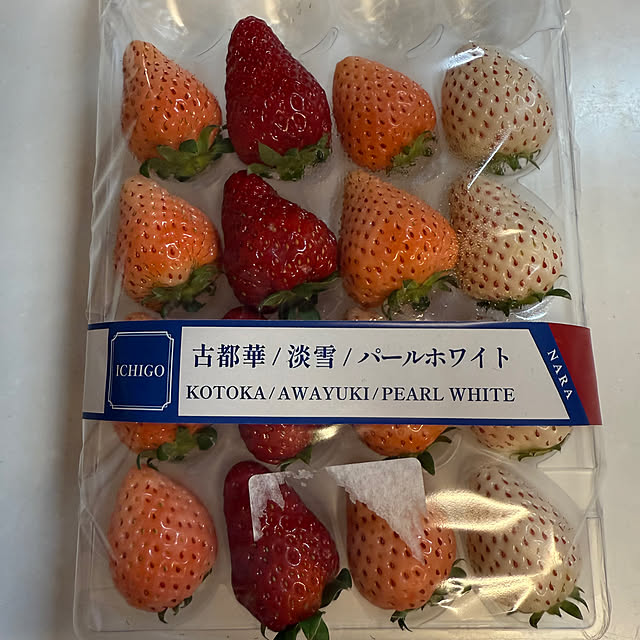 zuccoさんの部屋