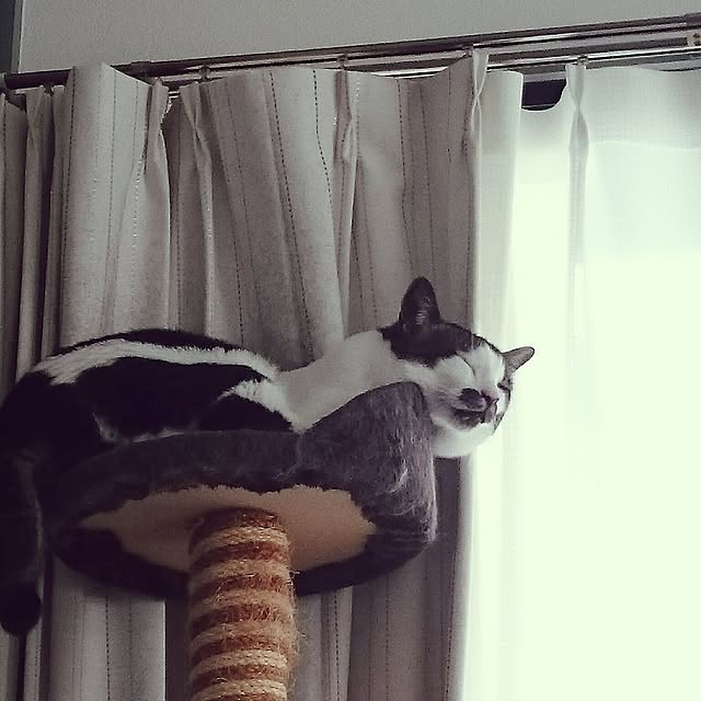 tobiさんの実例写真