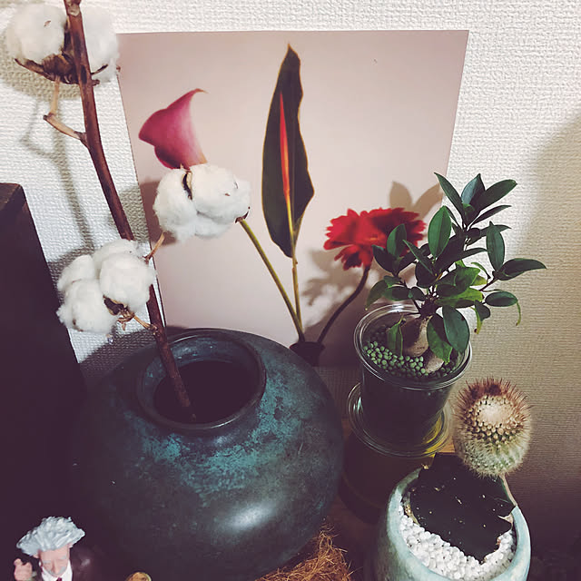 mynさんの実例写真