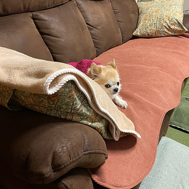 natsumiさんの実例写真