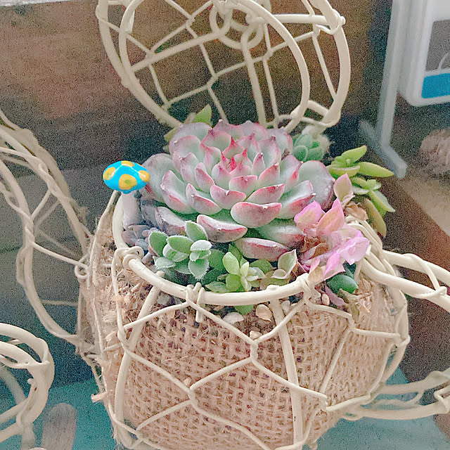 Hanakaさんの部屋
