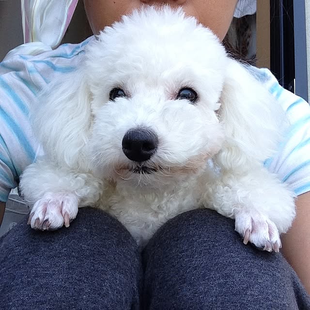 rinoさんの実例写真