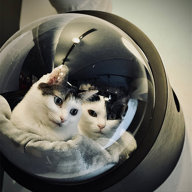 Zubolifeさんの実例写真