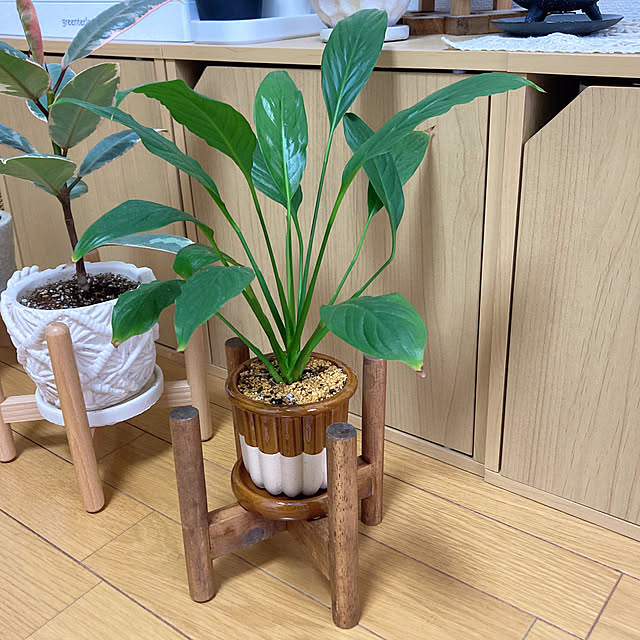 gumiさんの実例写真