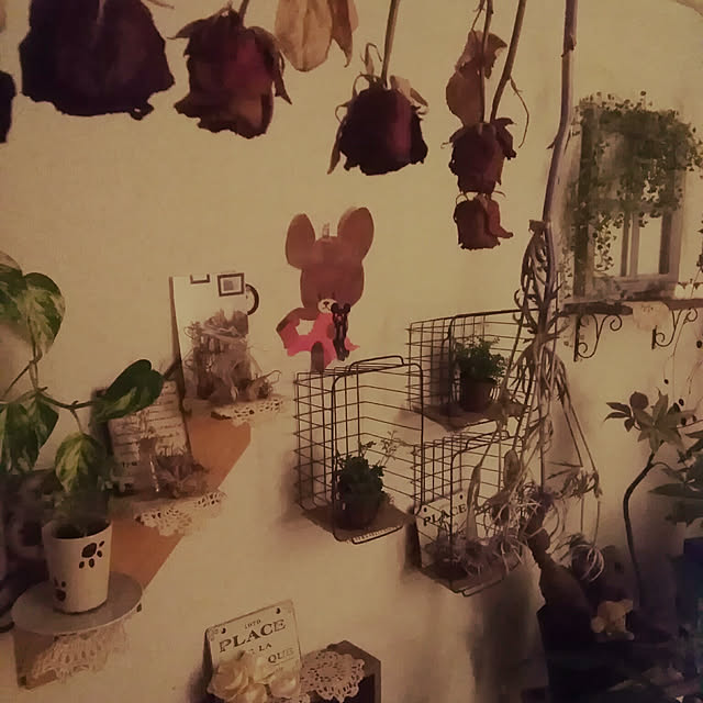 壁/天井のインテリア実例 - 2018-01-27 23:56:23