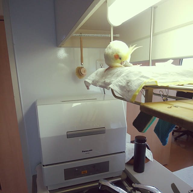 pontaさんの実例写真