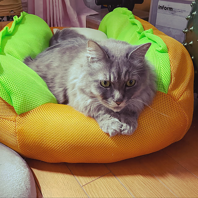 naworinさんの実例写真