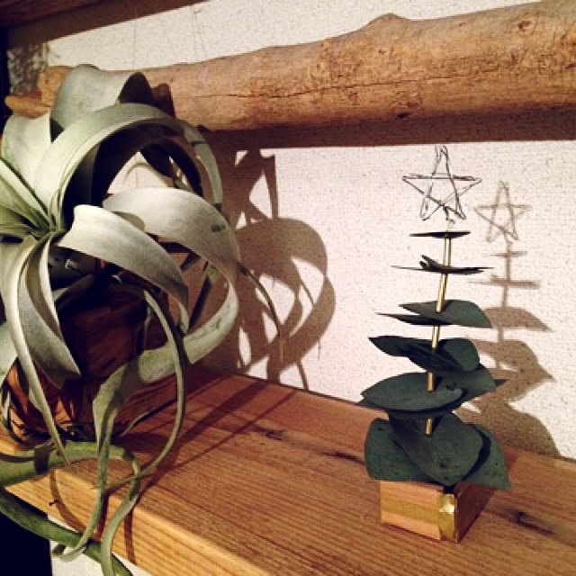 Hachikoさんの実例写真
