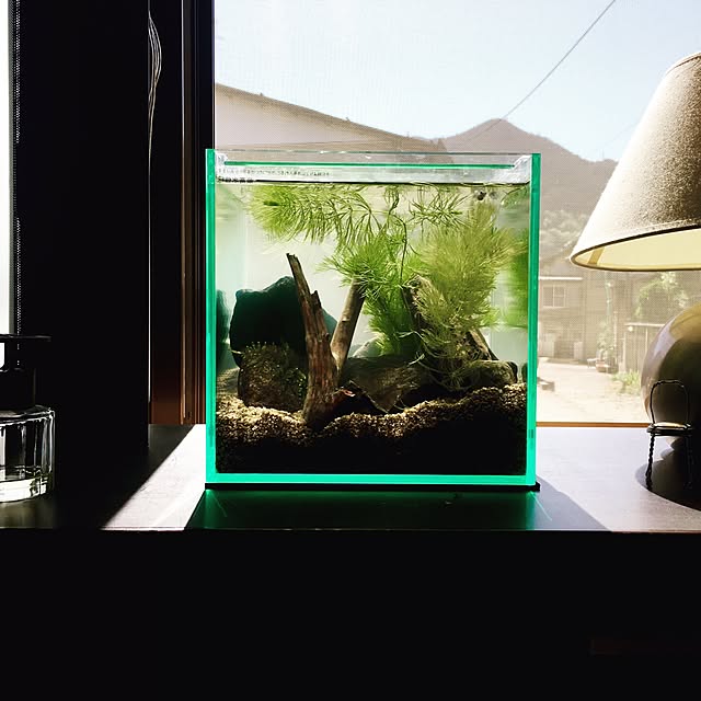 kawaai01さんの実例写真