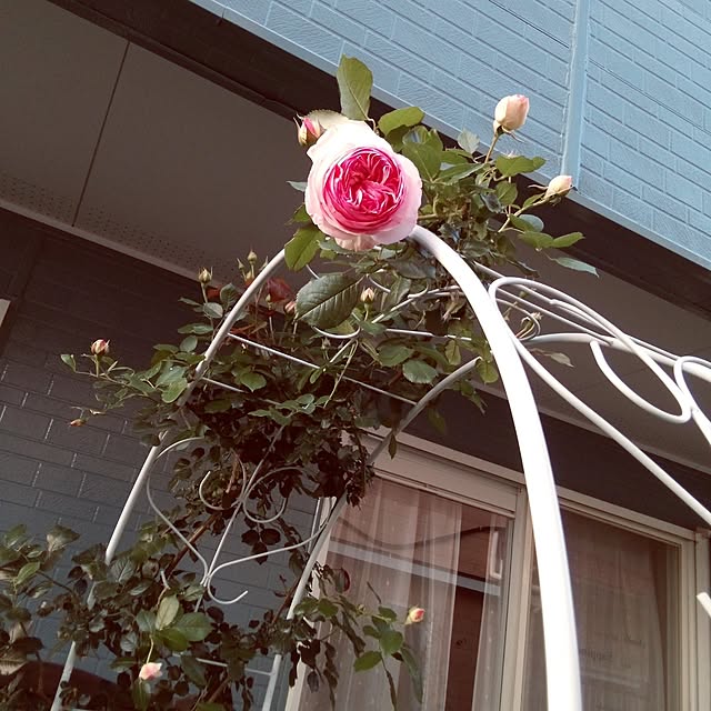 mariagardenさんの実例写真