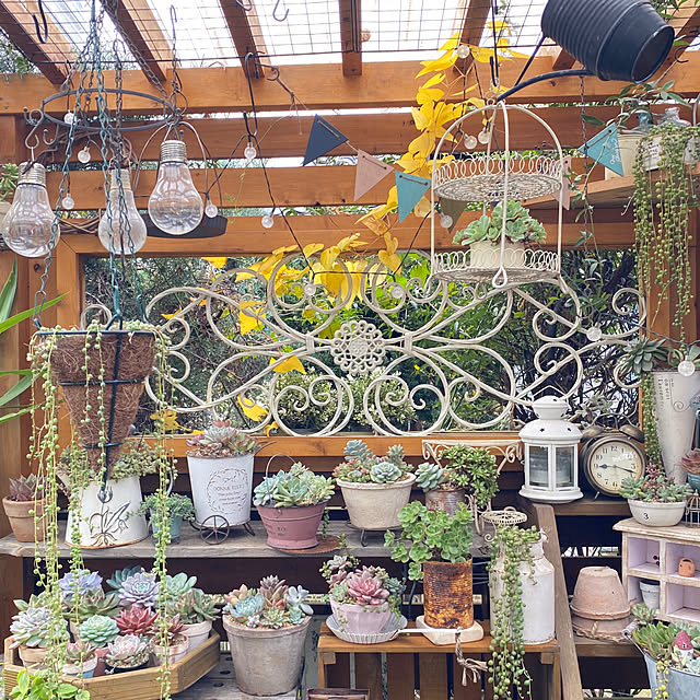 mintteaさんの部屋