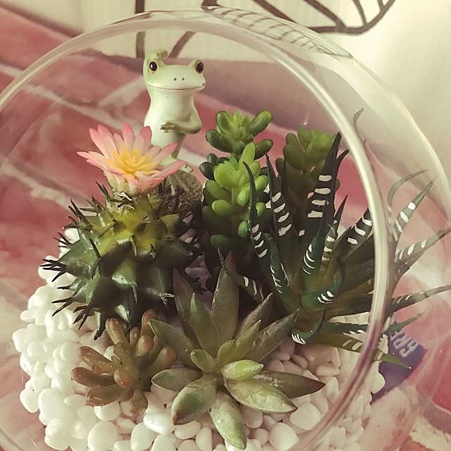 miromiroさんの実例写真