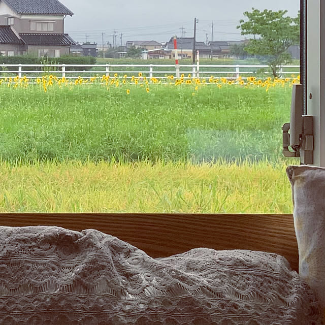 chiiyanさんの部屋