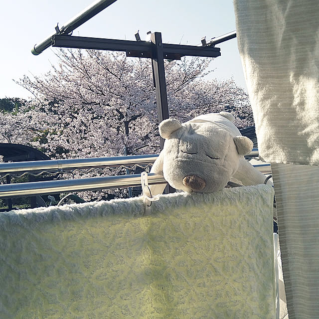 amiさんの実例写真