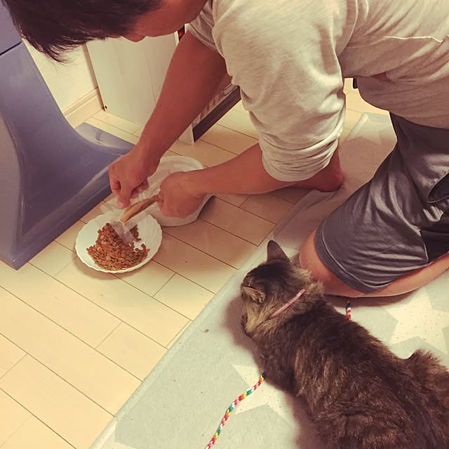 oniyomeさんの実例写真