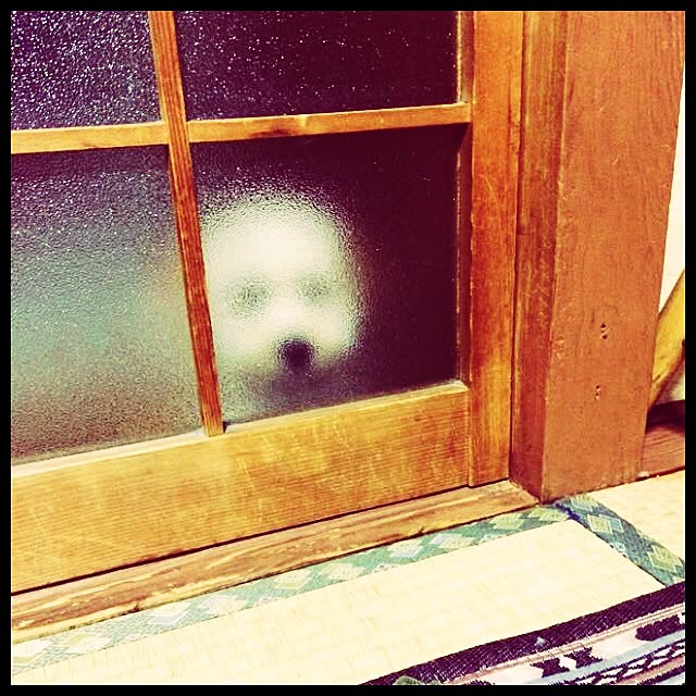 ichichiさんの実例写真
