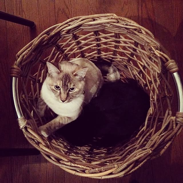 Naoki.さんの実例写真