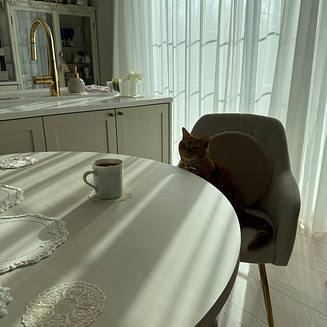 m623さんの実例写真