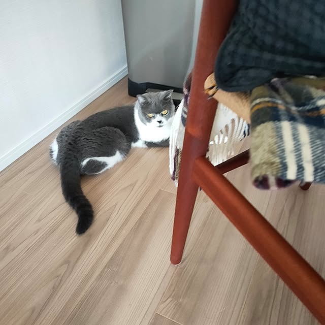 KEIKOさんの部屋