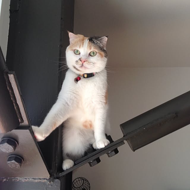 takeruTKさんの実例写真