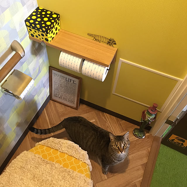 mikomaruさんの実例写真