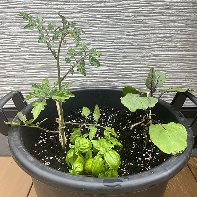 maaLさんの部屋