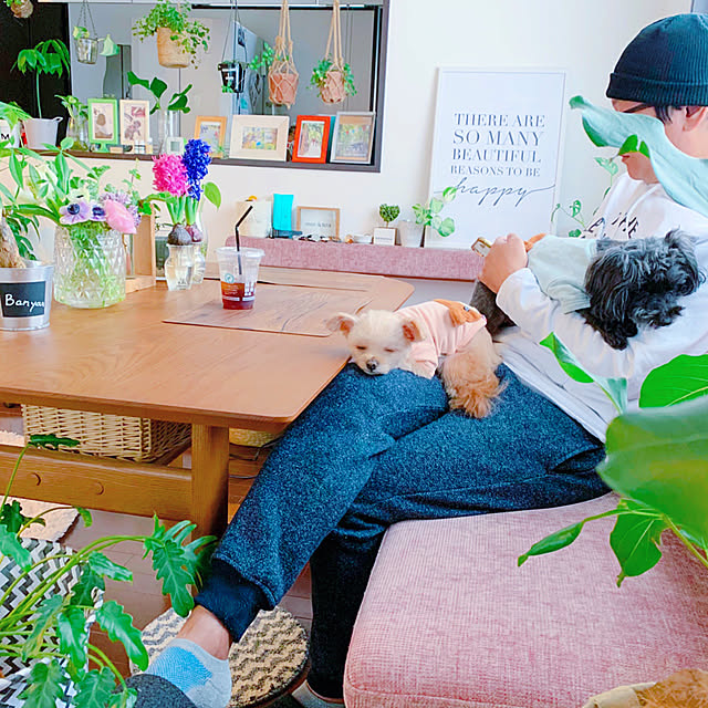 risaさんの実例写真