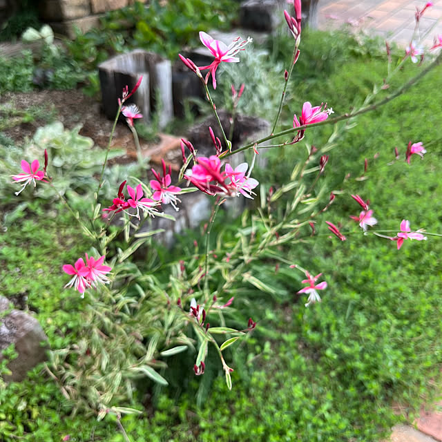 kuuさんの部屋