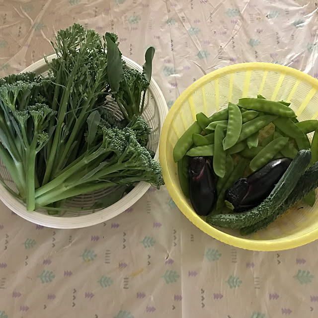 aoinokimiさんの部屋