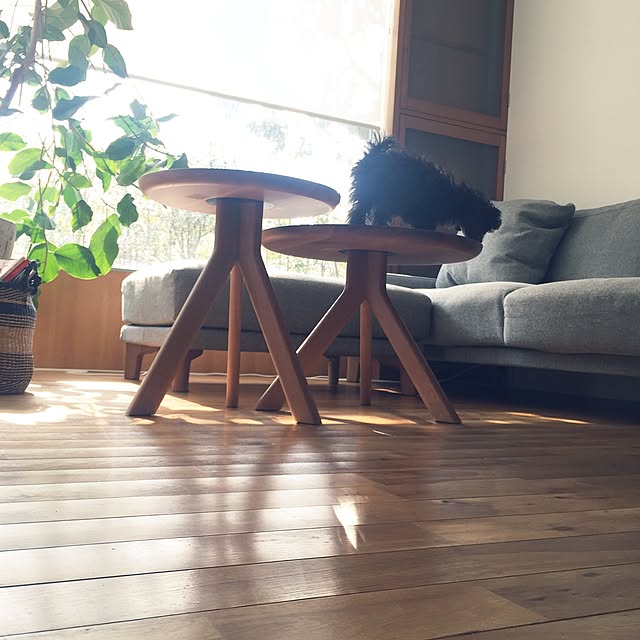 kuuさんの実例写真