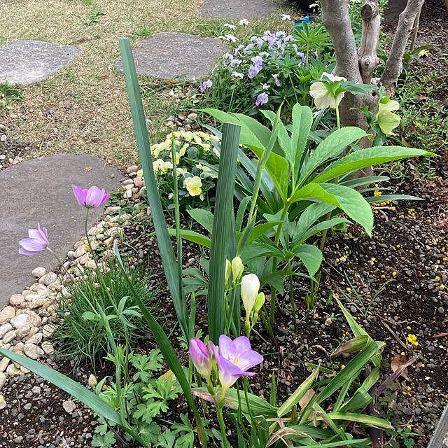 mamaさんの実例写真