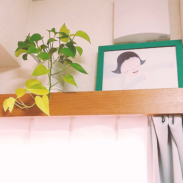 uniさんの実例写真
