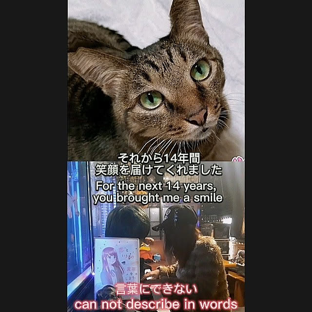 kiraさんの実例写真
