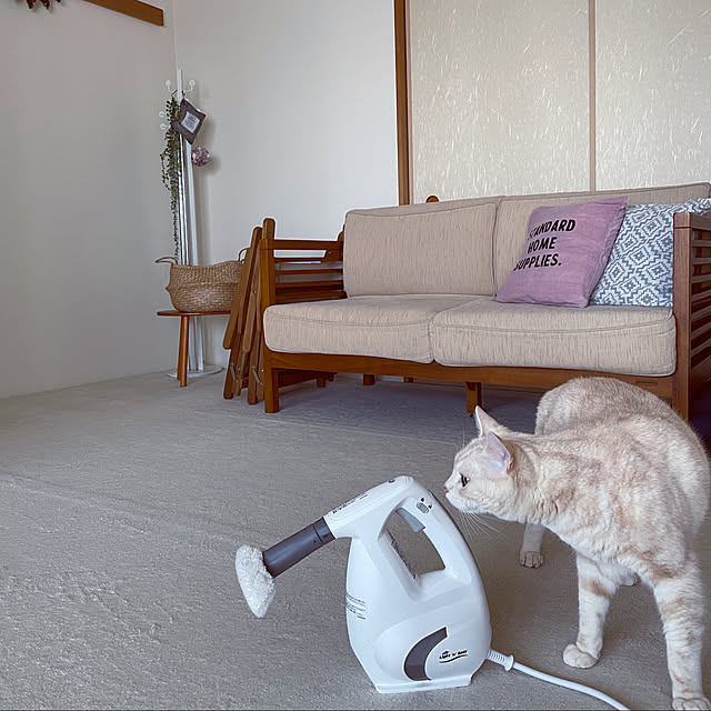 hiyupan88さんの実例写真