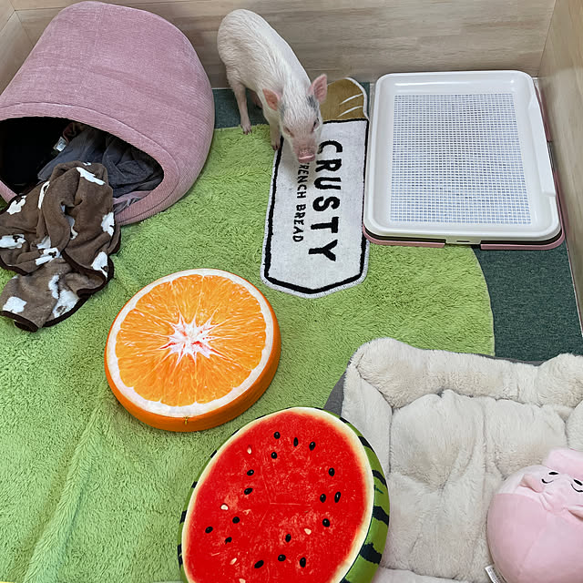 Mさんの実例写真