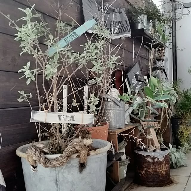 yuriyanaさんの実例写真