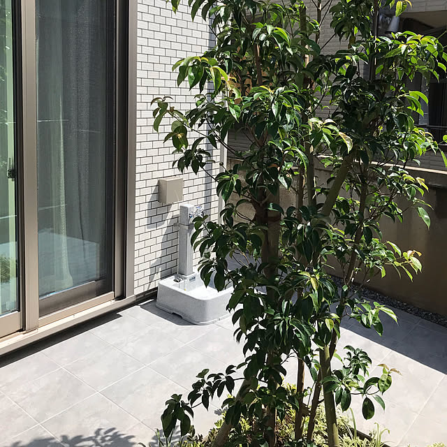 umingt330さんの実例写真