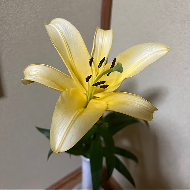 sakakenさんの実例写真