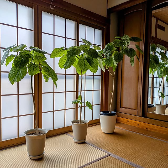 vol.3751写真