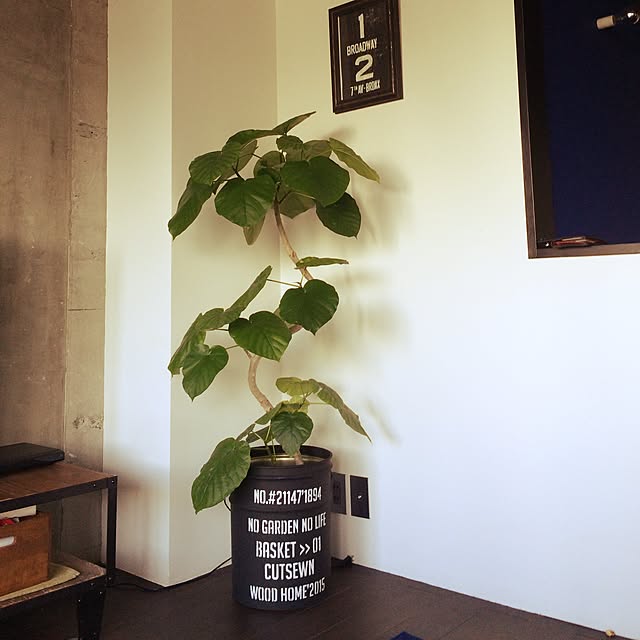 taruさんの実例写真