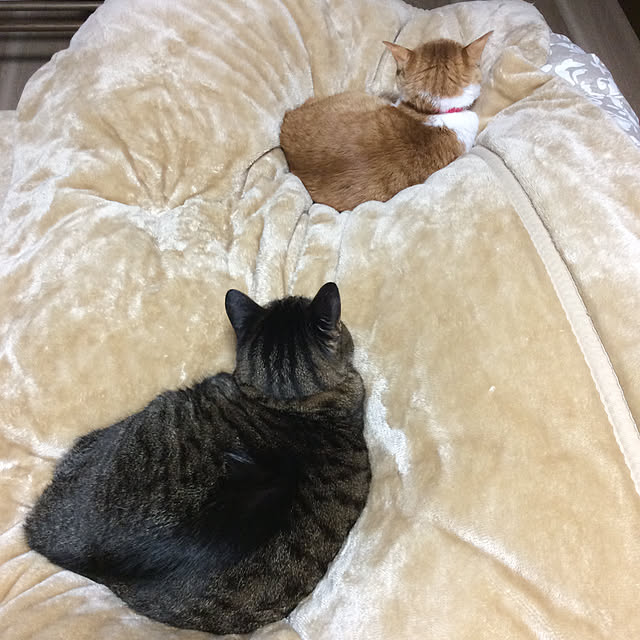 houenさんの実例写真