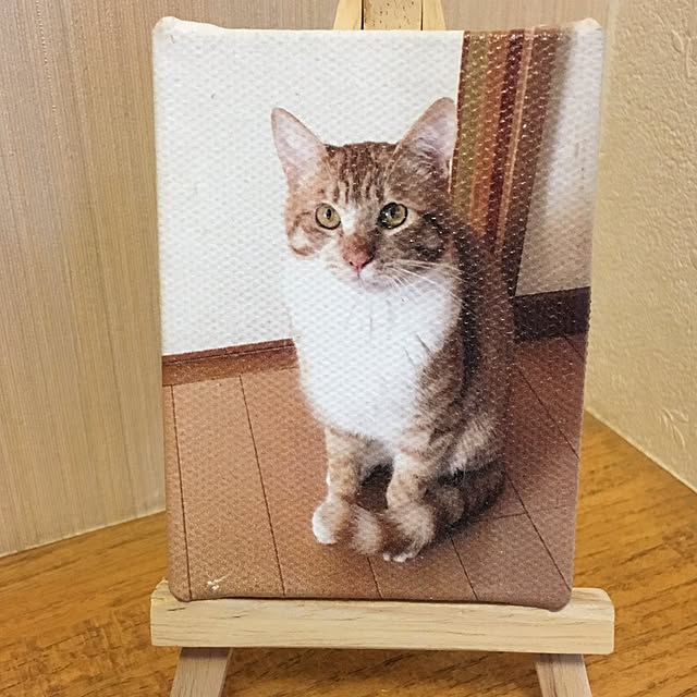 baronkotarouさんの実例写真