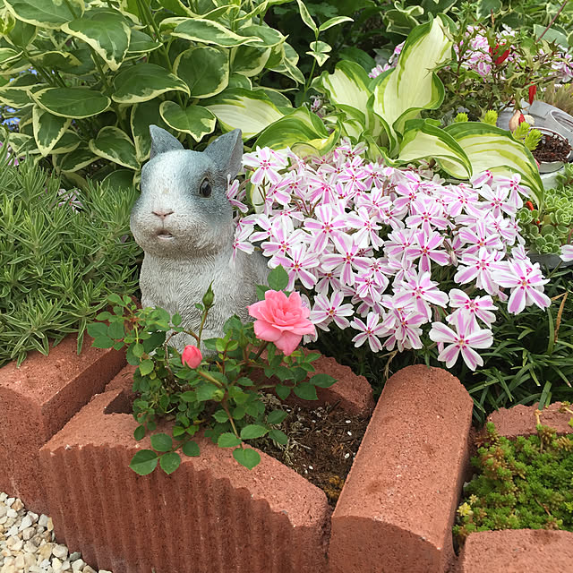 nonさんの実例写真