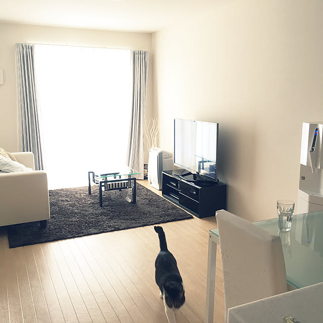 noji521さんの実例写真